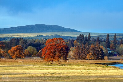 Autumn Scotland jigsaw puzzle