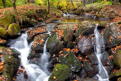 פאזל של Autumn Waterfall