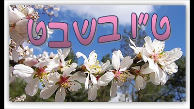 ×˜×• ×‘×©×‘×˜ jigsaw puzzle