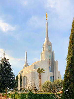 ROME TEMPLE with palms Thru My Eyes jigsaw puzzle