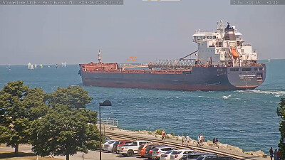 פאזל של m/v Algoma Mariner