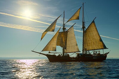 tall ships race jigsaw puzzle