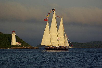 The Schooner jigsaw puzzle