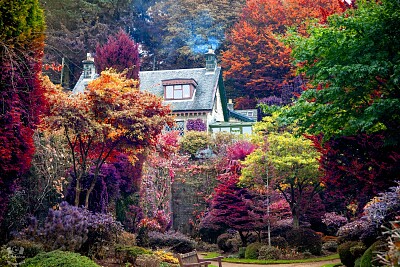 Garden vibrant colours