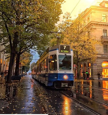 Tram. jigsaw puzzle