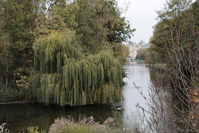 St. James Park, London, UK