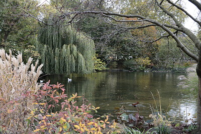 St. James Park, London, UK