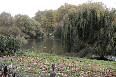 St. James Park, London, UK