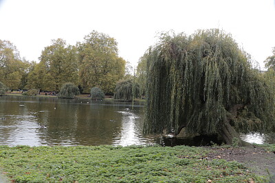 St. James Park, London, UK