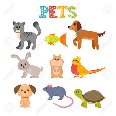 Pets