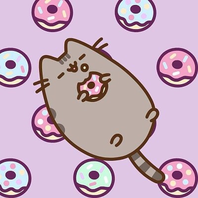 Pusheen donas