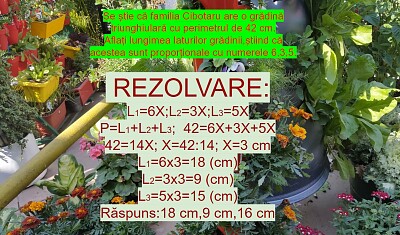 problema :figuri geometrice