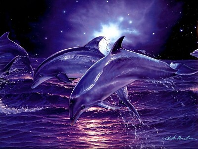Delfin2