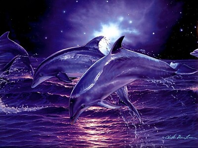 Delfin2 jigsaw puzzle