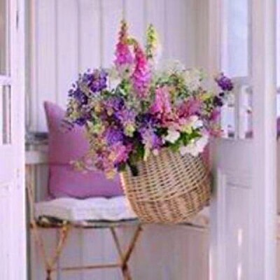 flores