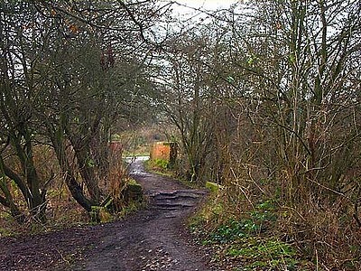 פאזל של Mill Lane