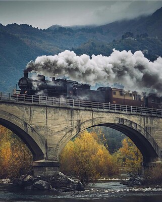 Train.
