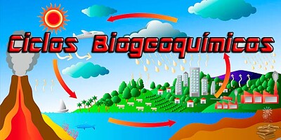 CICLOS BIOGEOQUIMICOS jigsaw puzzle