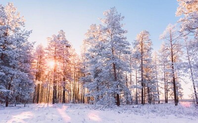 פאזל של Invierno