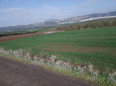 פאזל של Ahuzat Barak, Israel