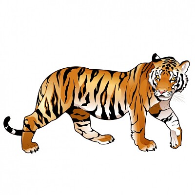 פאזל של tigre
