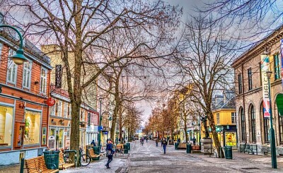 Trondheim-Alemania jigsaw puzzle