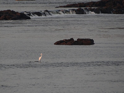 Salto Chico (RÃ­o Uruguay - Concordia)