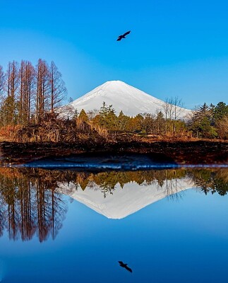 Monte com neve