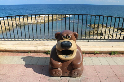 Poor Bear, Sliema, Malta