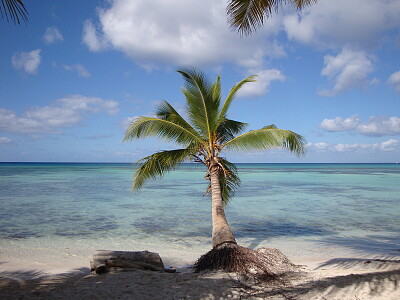 Ã®le excursion