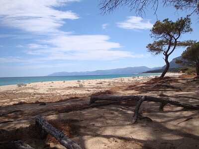 פאזל של la plage