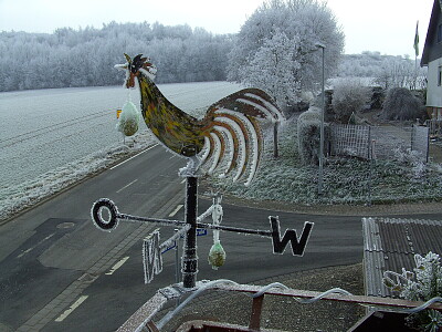 Wetterhahn im Winter