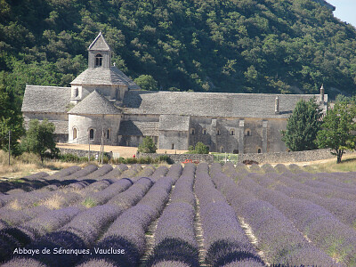 פאזל של Abbaye de Senanques, Vaucluse