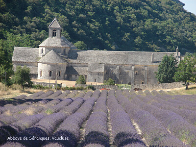 Abbaye de Senanques, Vaucluse jigsaw puzzle