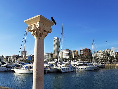 alicante-puerto jigsaw puzzle