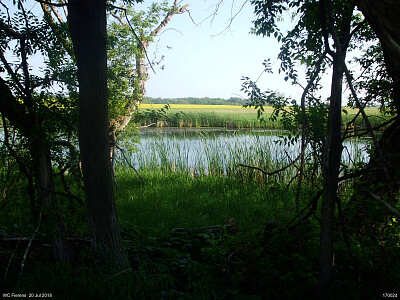 פאזל של Oak Creek Baldur MB Canada