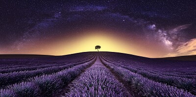 פאזל של Campo de Lavanda