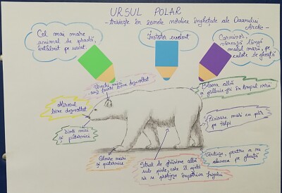 Ursul polar