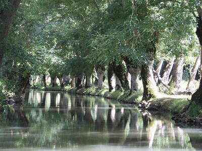 Marais poitevin, Deux-Sevres, France