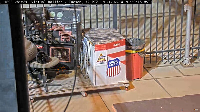 Tucson,AZ/USA Depot cat