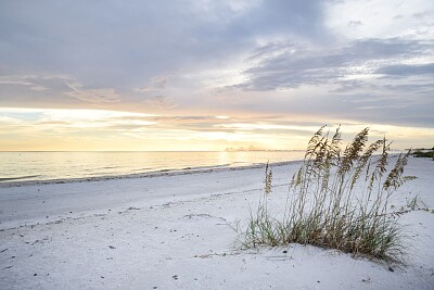 Naples Beach jigsaw puzzle