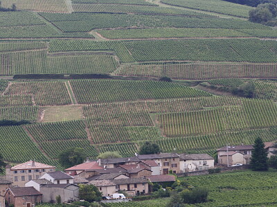פאזל של Vignoble de Pouilly, Nièvre