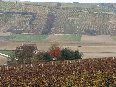 פאזל של Vignoble de Sancerre, Cher