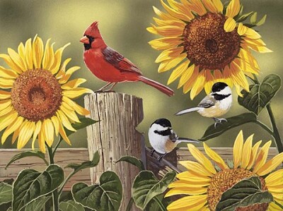 Sunflowers and Songbirds