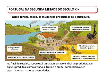 פאזל של modernizaÃ§Ã£o da agricultura
