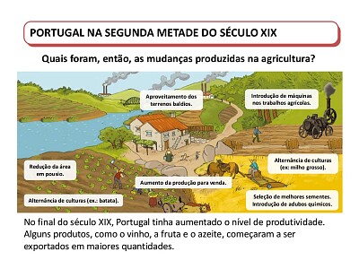 modernizaÃ§Ã£o da agricultura jigsaw puzzle