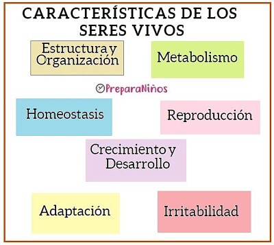 פאזל של Caracteristicas