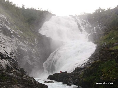 פאזל של Kjosfossen vue du train Flam-Myrdal, Norvege