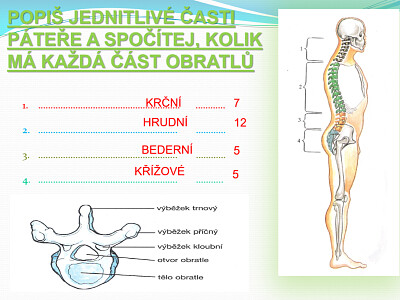 pÃ¡teÅ™