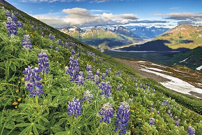 Alaska..Frontera de America del Norte jigsaw puzzle